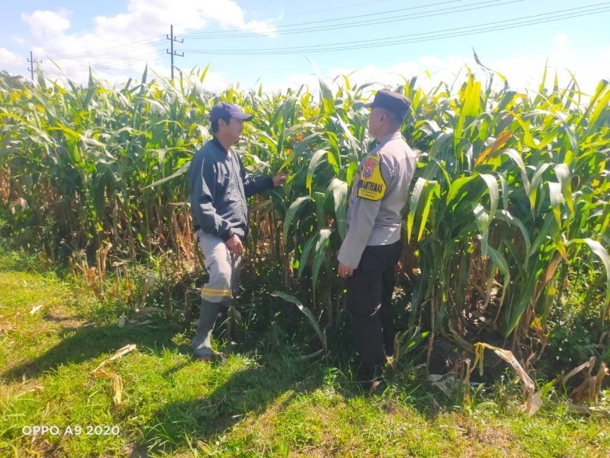 Polres Malang Konsisten Dukung Ketahanan Pangan melalui Pendampingan dan Edukasi Warga