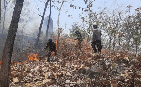 Respons Cepat Polres Ponorogo dan Tim Gabungan Berhasil Jinakkan Karhutla di Sampung